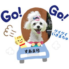 [LINEスタンプ] すあまとちょっとゆきちゃん2