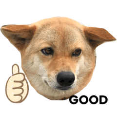 [LINEスタンプ] なつちゃんの使えるスタンプ