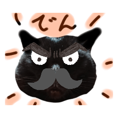 [LINEスタンプ] なんとなく使えるかも知れない猫スタンプ