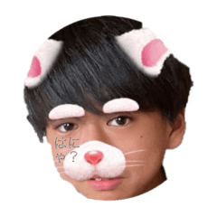 [LINEスタンプ] たけるのにちじょう