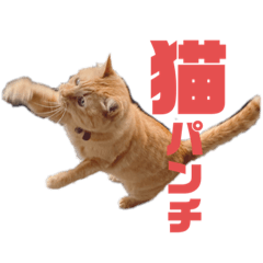 [LINEスタンプ] しゅらすた2