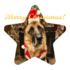 [LINEスタンプ] Cool Duke the GSD (2)
