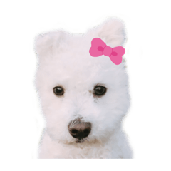 [LINEスタンプ] ポップさんの日常