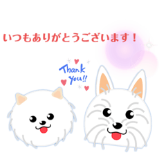 [LINEスタンプ] 白犬のポム＆シルク2