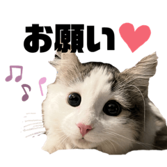 [LINEスタンプ] 垂れ目王子ほたての日常①