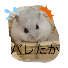 [LINEスタンプ] ふくみスタンプ☆☆