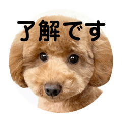 [LINEスタンプ] たいの呟き