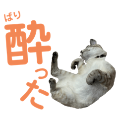 [LINEスタンプ] SUGAですけどなにか？