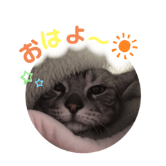 [LINEスタンプ] チョコちゃんとミントちゃん