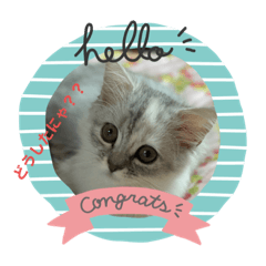 [LINEスタンプ] のんびりしよう( ｀ー´)ノ