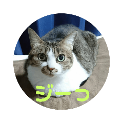 [LINEスタンプ] ナナエモン①