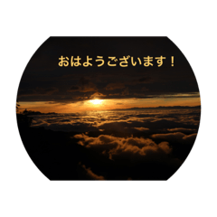 [LINEスタンプ] Kinko_写真2
