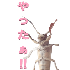 [LINEスタンプ] カミキリからーBIG