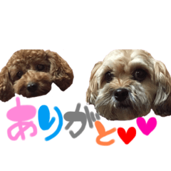 [LINEスタンプ] ぴぴちゃんすたんぷwithもんちゃん