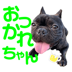 [LINEスタンプ] フレンチブルドッグの虎虎くん