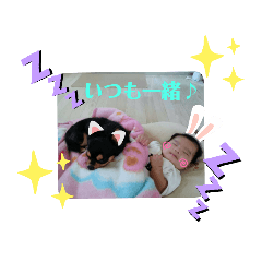 [LINEスタンプ] shoyaだよ～★
