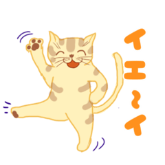 [LINEスタンプ] ねこネコわんこの簡単あいさつ