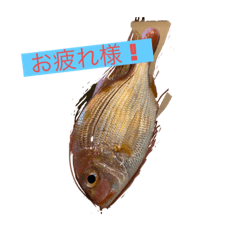[LINEスタンプ] 魚三昧
