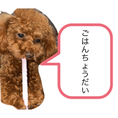 [LINEスタンプ] コロン＆チェル