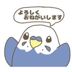 [LINEスタンプ] 丁寧語のインコ