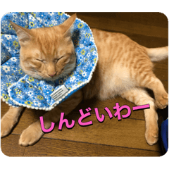 [LINEスタンプ] むぎむーの日常②