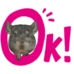 [LINEスタンプ] チンチラのおはぎくん4
