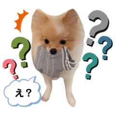[LINEスタンプ] うにくんの顔芸①