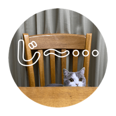 [LINEスタンプ] アムのひとこと