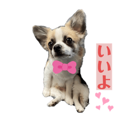 [LINEスタンプ] ロンチ☆アーク