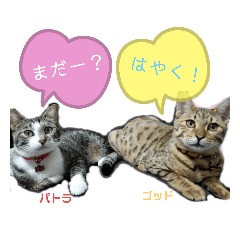 [LINEスタンプ] パトラさんとゴッドくん 3