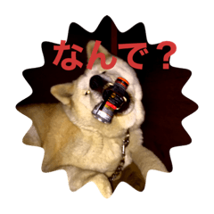 [LINEスタンプ] シキ様
