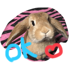 [LINEスタンプ] けつまるとはぐりっとはミドルネーム