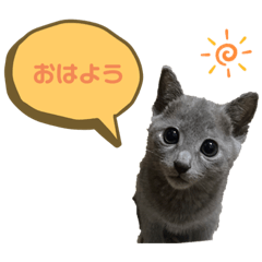[LINEスタンプ] まりたん1