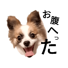 [LINEスタンプ] らんらんラスク♪ポメパピ
