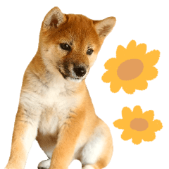 [LINEスタンプ] つくしとあそぼ