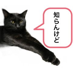 [LINEスタンプ] 黒猫ペロの関西弁