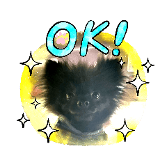 [LINEスタンプ] ライのご機嫌スタンプ