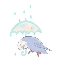 [LINEスタンプ] セキセイインコたち。