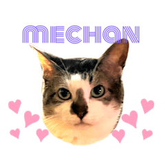 [LINEスタンプ] みーちゃんとおばちゃん
