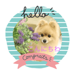 [LINEスタンプ] 癒しのデカポメキュンちゃん