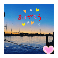 [LINEスタンプ] ハワイの景色と毎日使う言葉