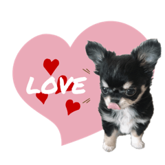 [LINEスタンプ] テテさんスタンプ。