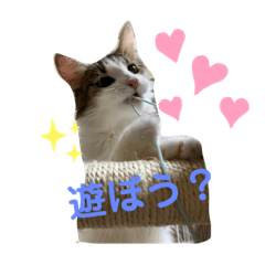 [LINEスタンプ] 優稀記念スタンプ2