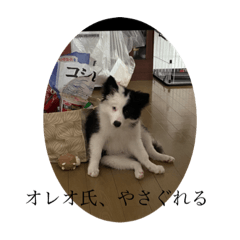 [LINEスタンプ] オレオ氏