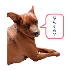 [LINEスタンプ] デブラムちゃん