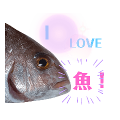[LINEスタンプ] テカルスタンプ