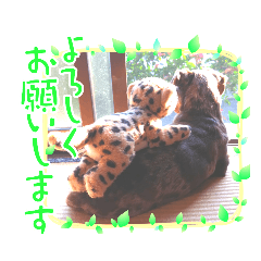[LINEスタンプ] Taraの日常