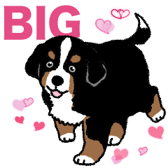 [LINEスタンプ] Bernese Mountain Dog Big Sticker