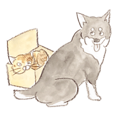 [LINEスタンプ] いぬとときどきねこ