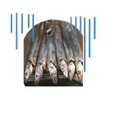 [LINEスタンプ] 魚三昧ver2.1